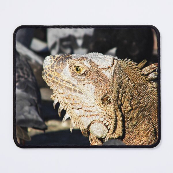 Item preview, Portrait of an iguana designed and sold by Follow the Hedgehog.