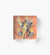Cockatiel Fun Acrylic Block