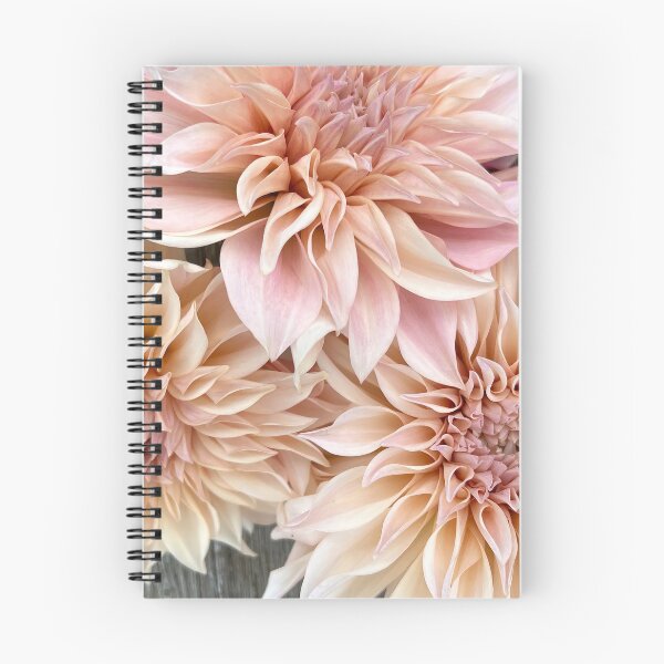 Item preview, Cafe Au Lait Dahlia - Blush Dahlia - Pink Dahlia designed and sold by idlewildblooms.