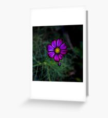 Floral autumn Greeting Card
