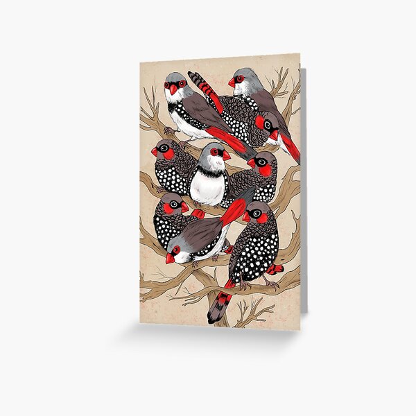 Firetails Greeting Card