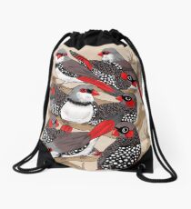Firetails Drawstring Bag