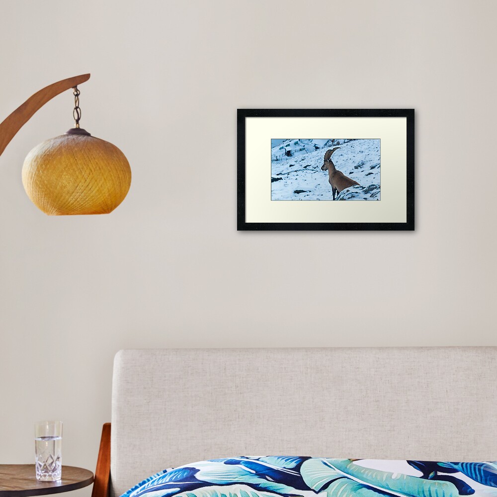 The gazer Framed Art Print