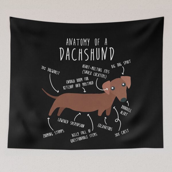Item preview, Red Dachshund Dog Anatomy designed and sold by Clara Hollins.