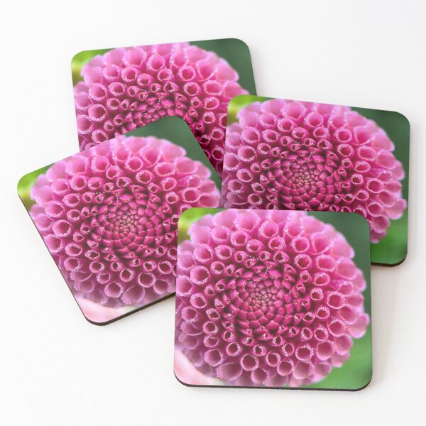 Item preview, Koko Puff Dahlia Flower - Dusty Rose Dahlia designed and sold by idlewildblooms.