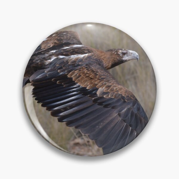 Item preview, Eagle on the prowl designed and sold by Seesee.