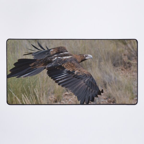 Item preview, Eagle on the prowl designed and sold by Seesee.