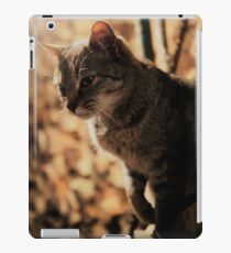 Mia the cat VII iPad-Hülle & Skin