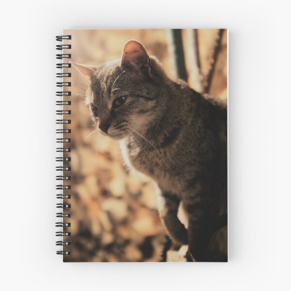 Item preview, Mia the cat VII designed and sold by Michael Hofmann.