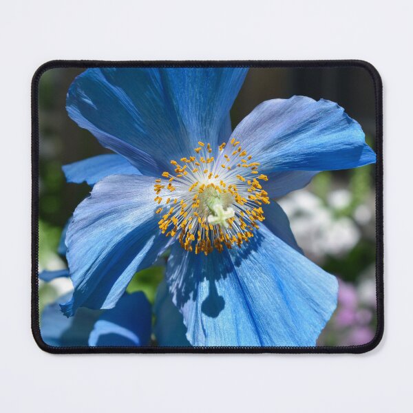 Item preview, Blue Firecrackers designed and sold by okomedesign.