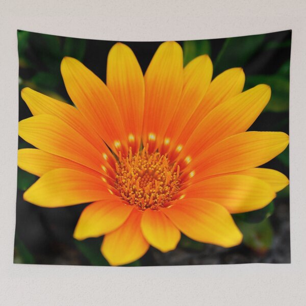 Item preview, All Things Bright and Beautiful !! designed and sold by AnnDixon.