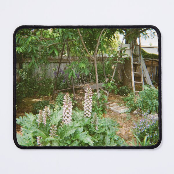 Item preview, Warwick flowers 35mm film photography designed and sold by Dominique Tassell.