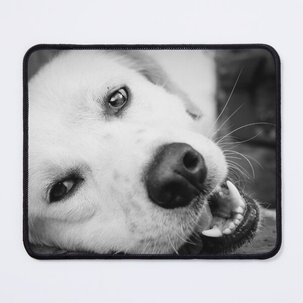Item preview, White Dog Smiling designed and sold by PrintPortal.