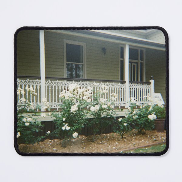 Item preview, Warwick roses 35mm film photography designed and sold by Dominique Tassell.