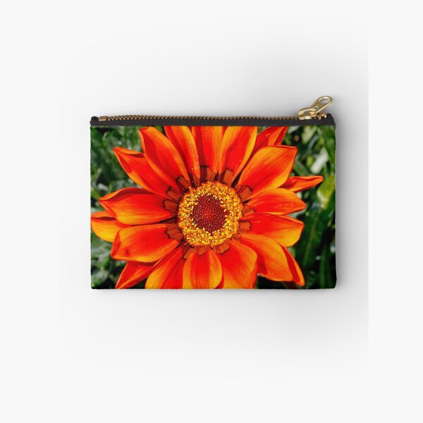 Item preview, Gazania designed and sold by AnnDixon.