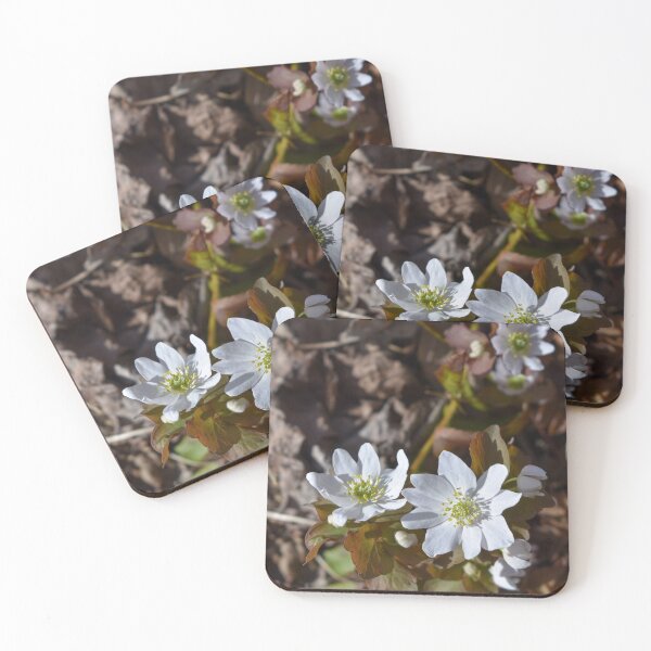 Item preview, Calle Anémona designed and sold by okomedesign.