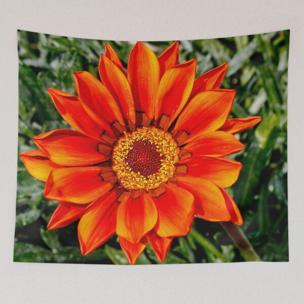 Item preview, Gazania designed and sold by AnnDixon.