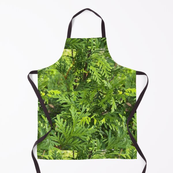 Item preview, Cedar designed and sold by TherapeuticNest.
