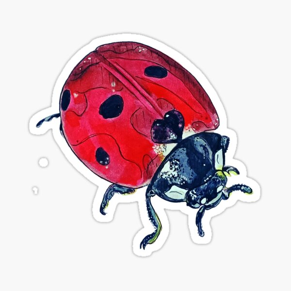 Item preview, Lady Bug designed and sold by KelRoseArt.