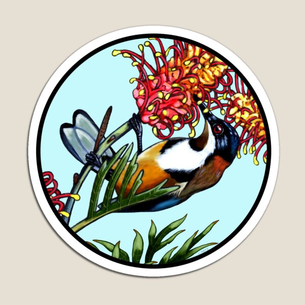 Eastern Spinebill Bird in Grevillea Flower Round by Australian Artist Laural Retz Magnet
