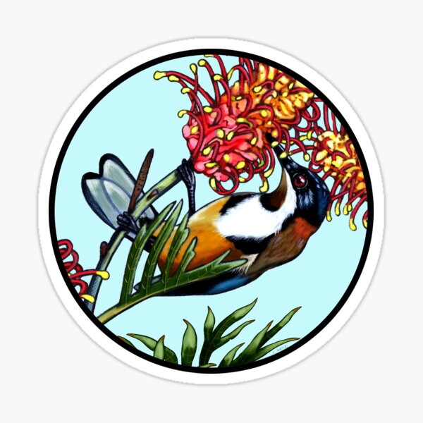 Eastern Spinebill Bird in Grevillea Flower Round by Australian Artist Laural Retz Sticker
