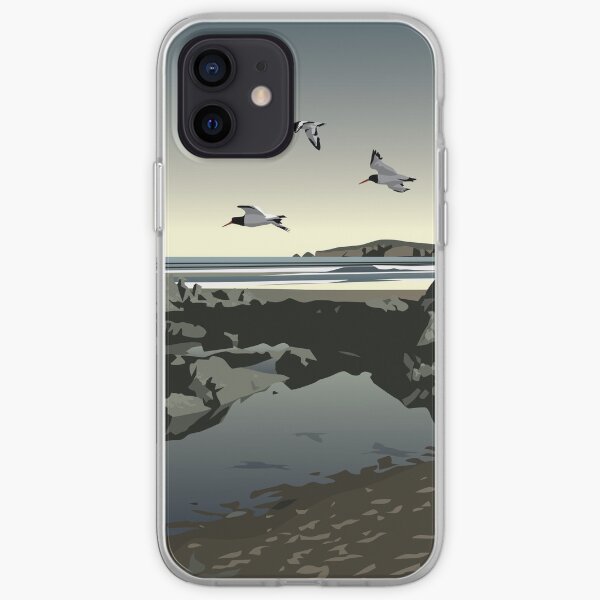 poppit cases