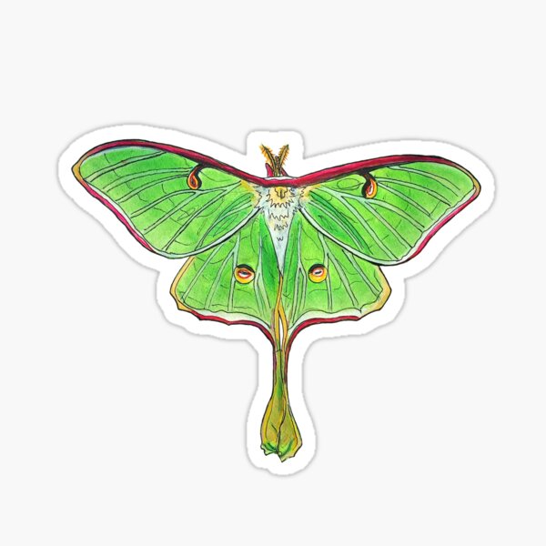 Luna Moth Sticker