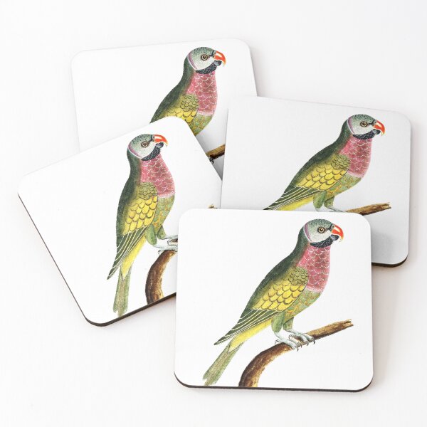 Item preview, Colourful Bird designed and sold by The-C-Marketer.