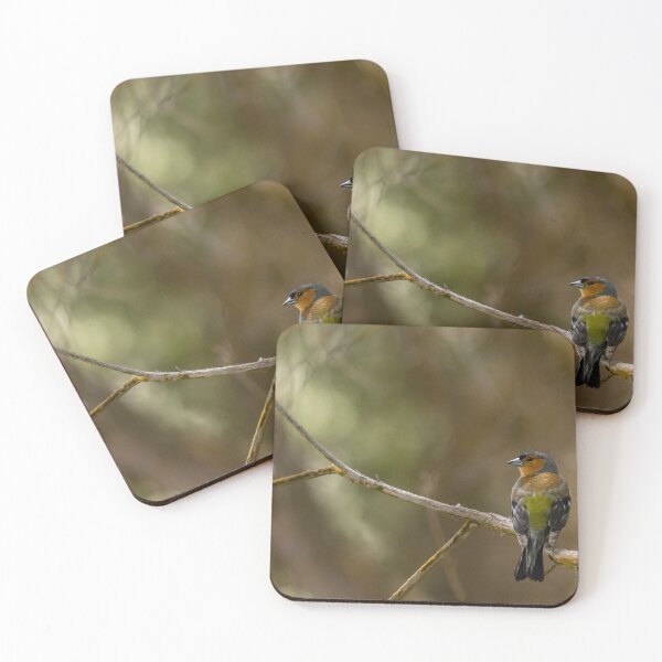Item preview, Chaffinch basking in the Sun designed and sold by Puttaswamy Ravishankar.