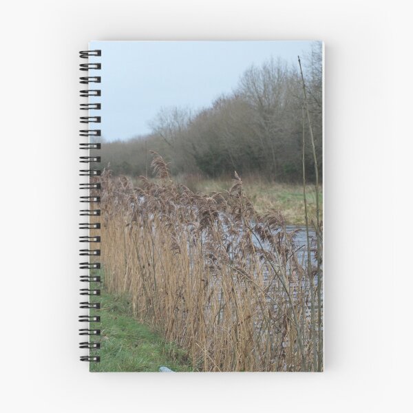Item preview, Grand Ballycommon designed and sold by stormygt.