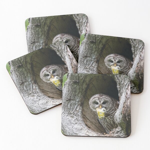 Item preview, Shades of Emotions - Nature Always Wins designed and sold by Puttaswamy Ravishankar.