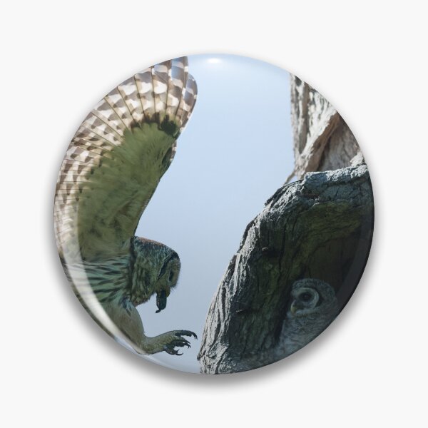 Item preview, Feeding Time - Female Barred owl designed and sold by Puttaswamy Ravishankar.