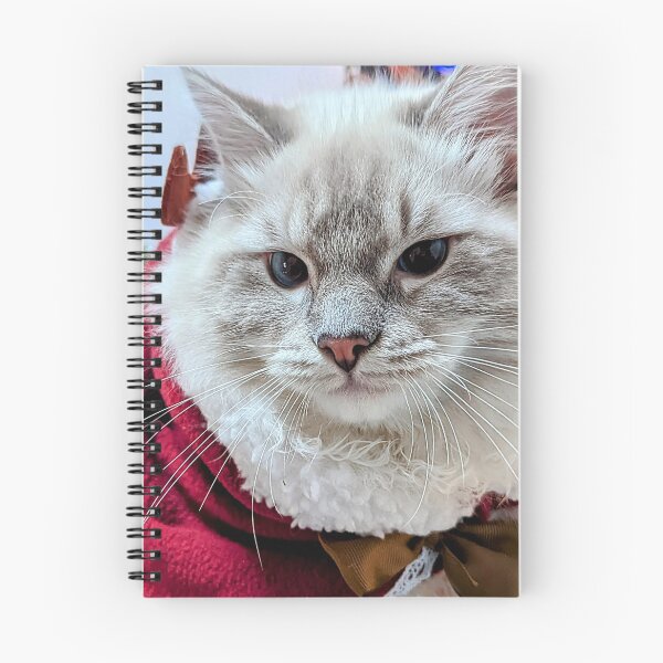 Item preview, Beautiful fluffy ragdoll cat designed and sold by Fluffycat2020.