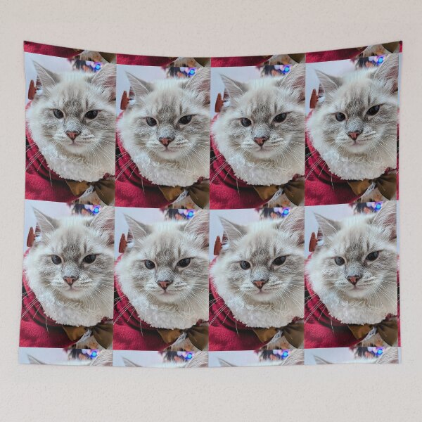 Item preview, Beautiful fluffy ragdoll cat designed and sold by Fluffycat2020.