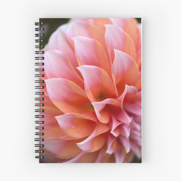 Item preview, Peaches n Cream Dahlia - Peach Pink Flower designed and sold by idlewildblooms.