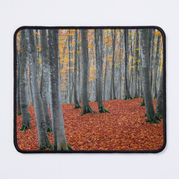 Item preview, Morning Calm in Niigata, Japan - Autumn designed and sold by Jordan McChesney.