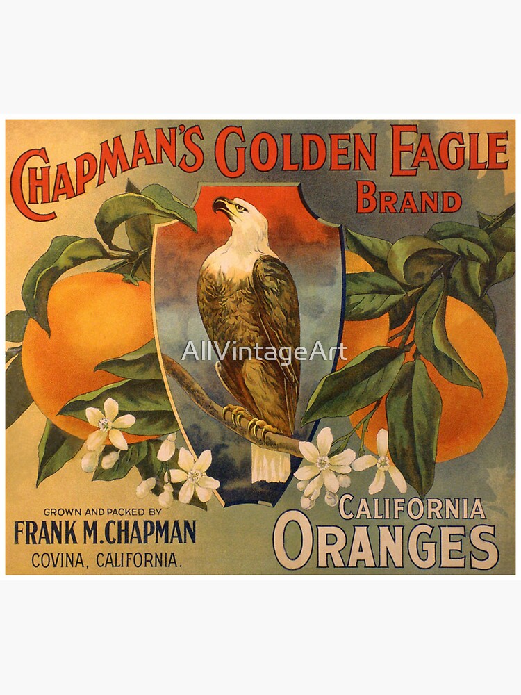 vintage fruit crate label 1920 oranges sticker by