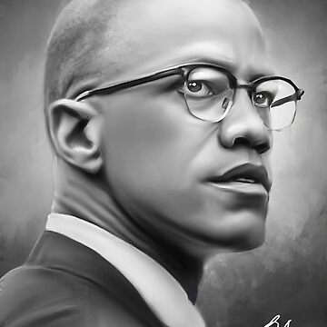 Artwork thumbnail, Digital Malcolm X by wayneflint