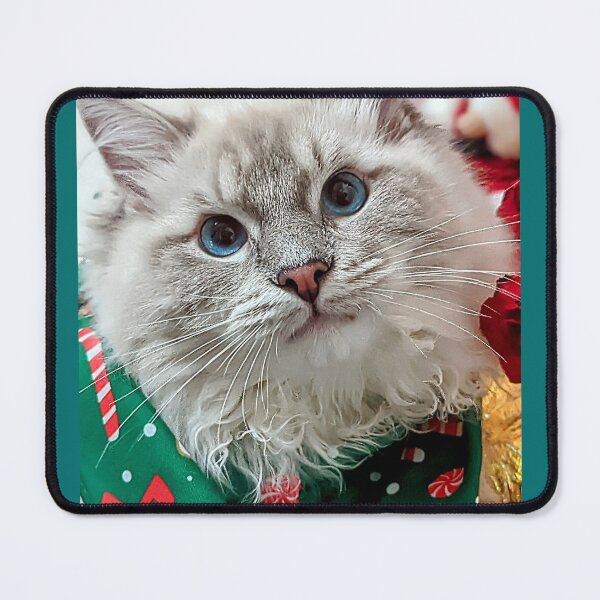 Item preview, Christmas ragdoll kitten designed and sold by Fluffycat2020.