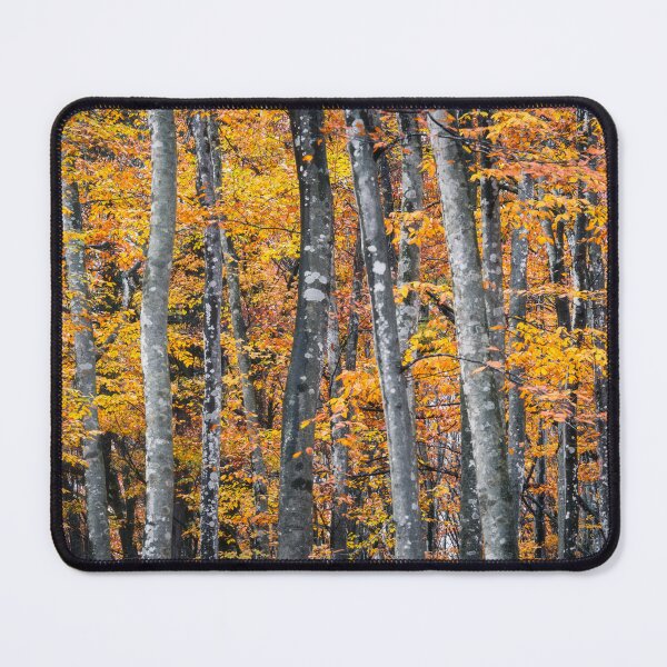 Item preview, Autumn Chaos 2 - Autumn in Niigata, Japan designed and sold by Jordan McChesney.