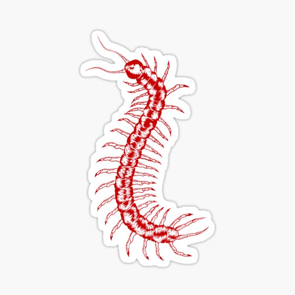 Item preview, red centipede sketch designed and sold by libbydrawz.