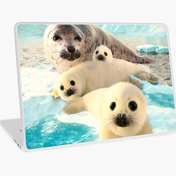 Grey seals arctic Laptop Skin