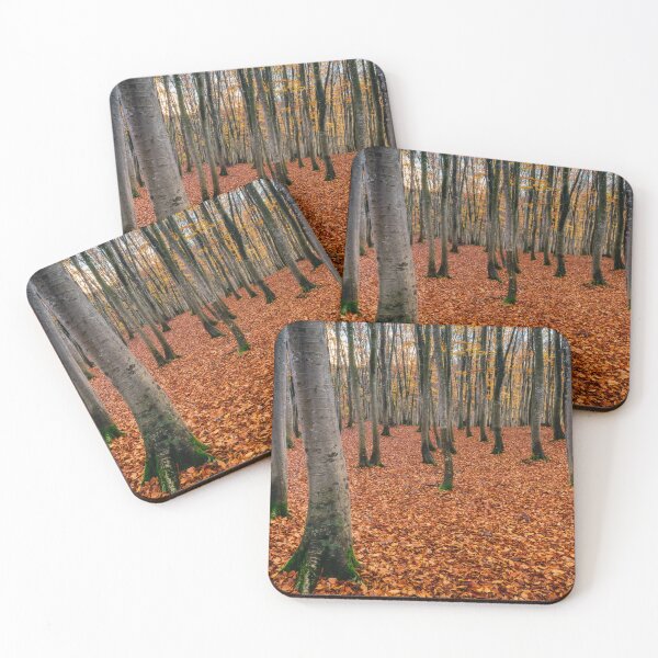 Item preview, Morning Calm 2 - Autumn in Niigata, Japan designed and sold by Jordan McChesney.