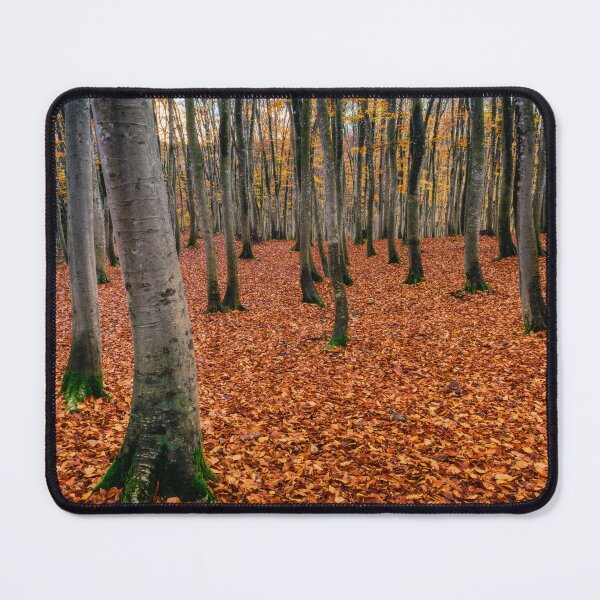 Item preview, Morning Calm 2 - Autumn in Niigata, Japan designed and sold by Jordan McChesney.