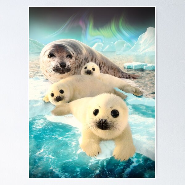 Item preview, Grey seals arctic designed and sold by DavidPenfound.
