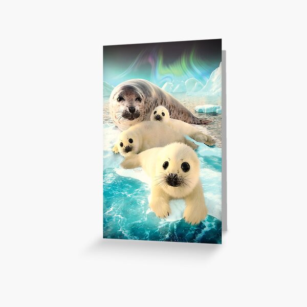 Item preview, Grey seals arctic designed and sold by DavidPenfound.