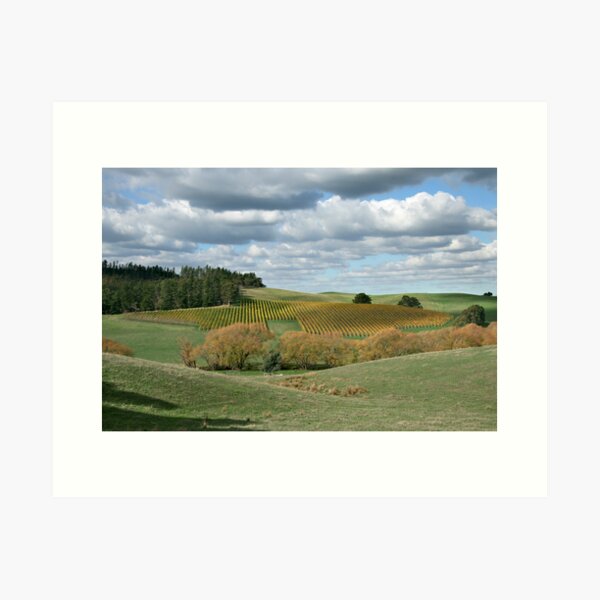 Item preview, Autumnal Country Colours - Adelaide Hills designed and sold by LeeoPhotography.