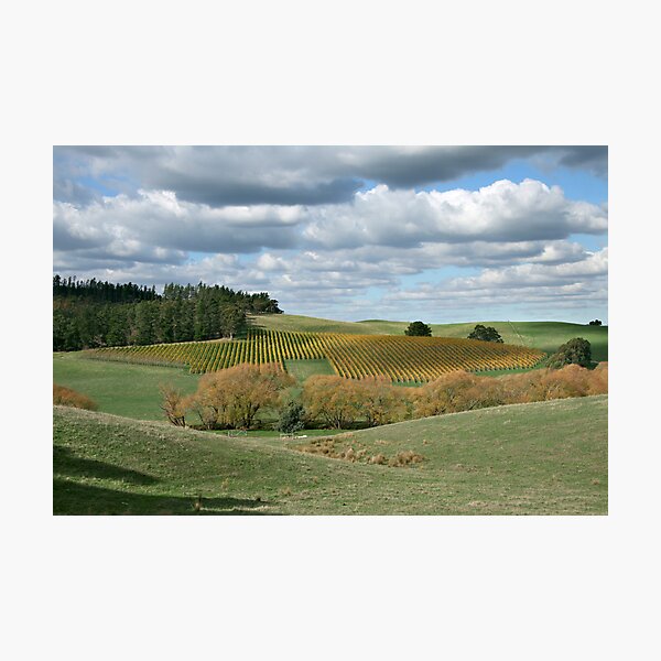 Item preview, Autumnal Country Colours - Adelaide Hills designed and sold by LeeoPhotography.