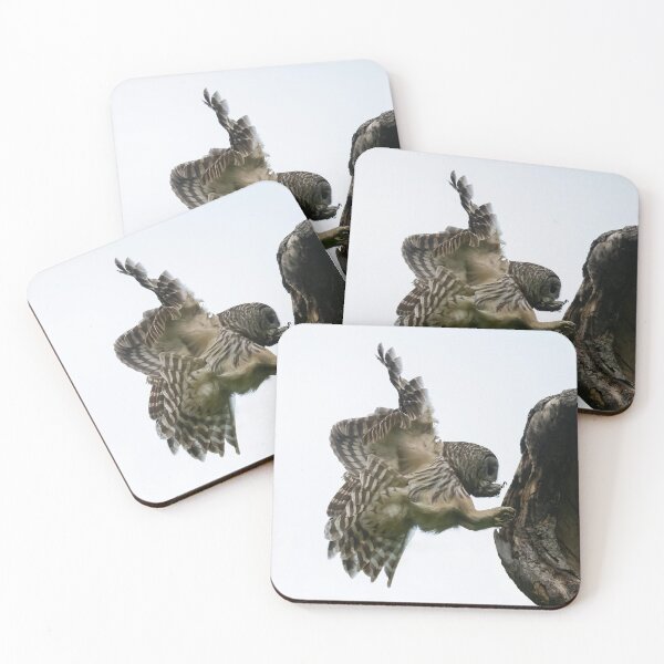 Item preview, Mama Barred owl rushing in to feed its babies designed and sold by Puttaswamy Ravishankar.