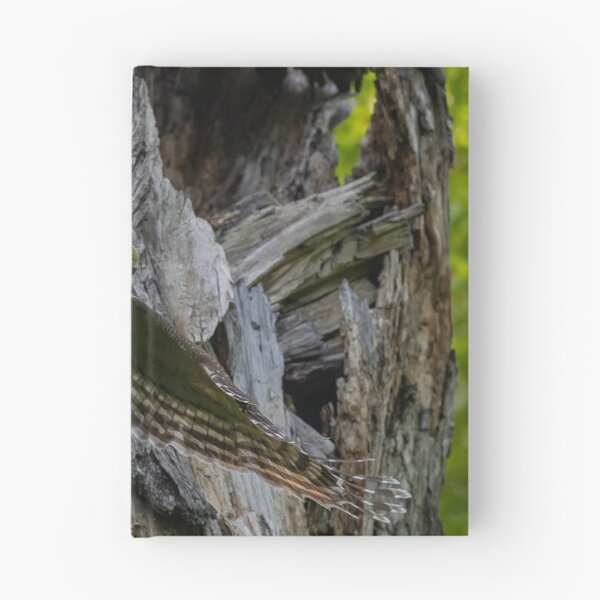 Item preview, Mama Barred owl Hunting designed and sold by Puttaswamy Ravishankar.